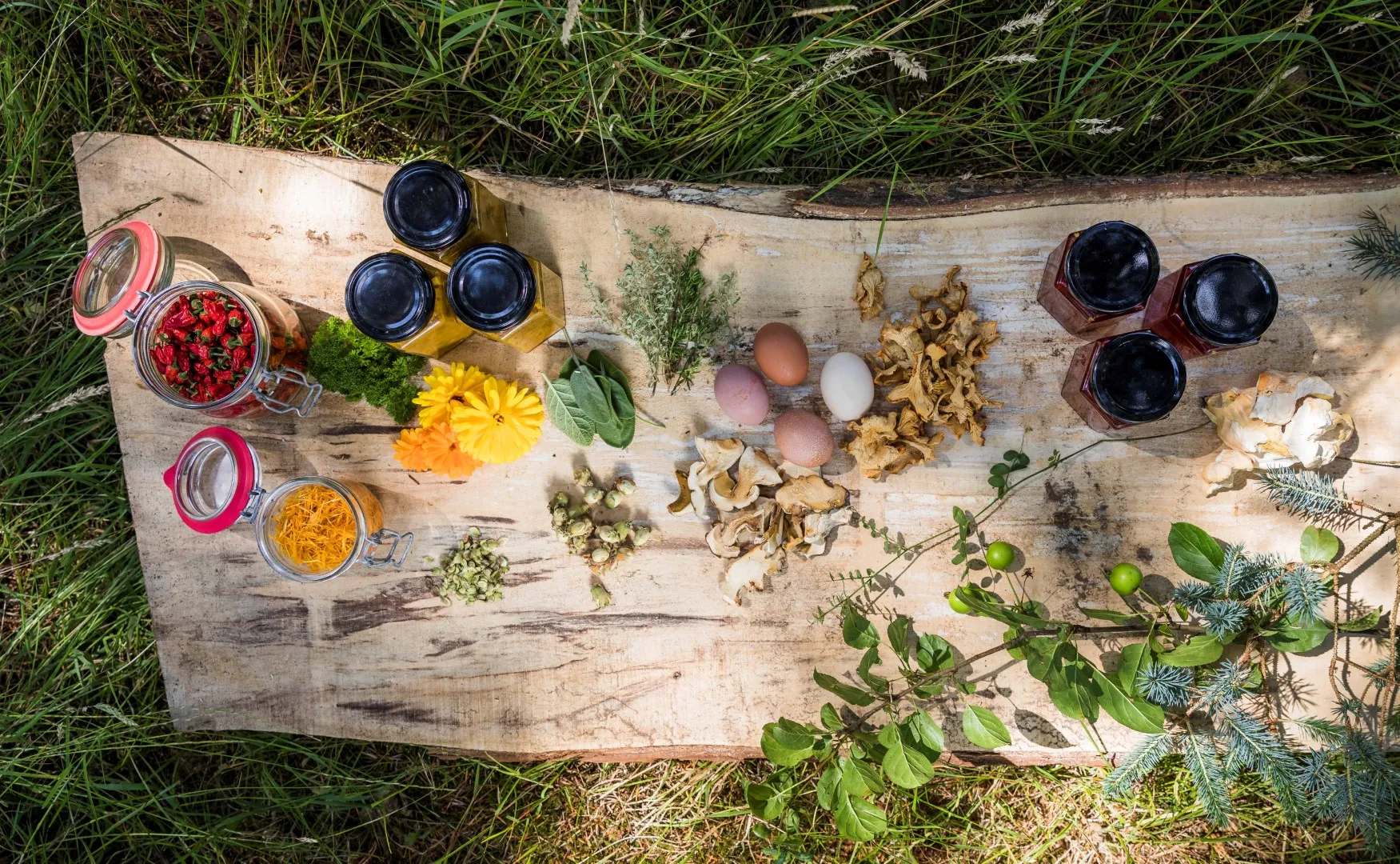 Decorative Ingredients